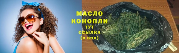 молекула духа Горнозаводск